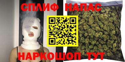 молекула духа Камышлов