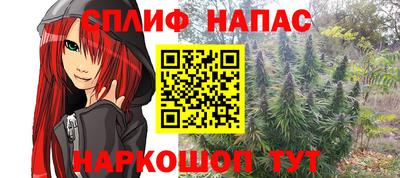 молекула духа Камышлов