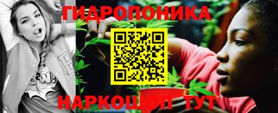 молекула духа Камышлов