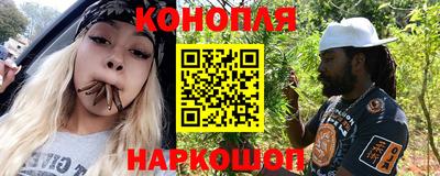 молекула духа Камышлов