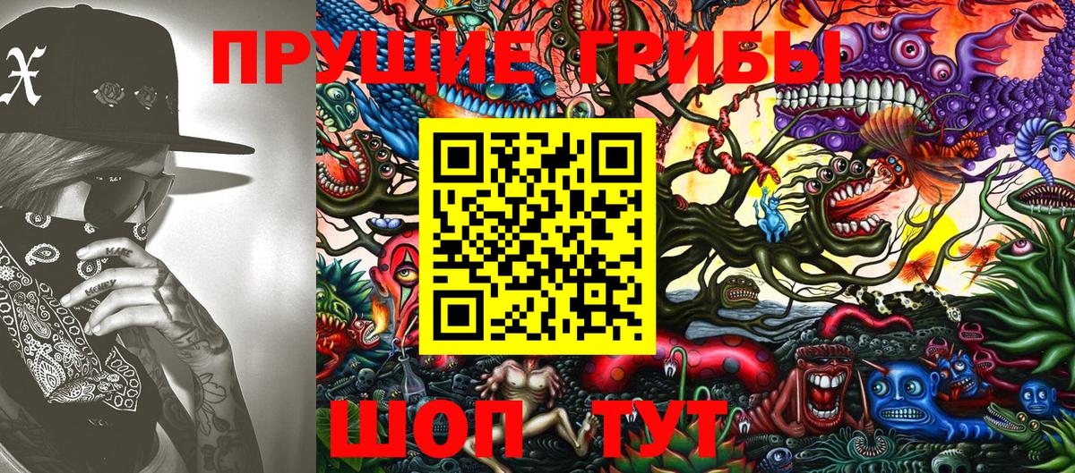 Вязники  Псилоцибиновые грибы мицелий  Вход с VPN 