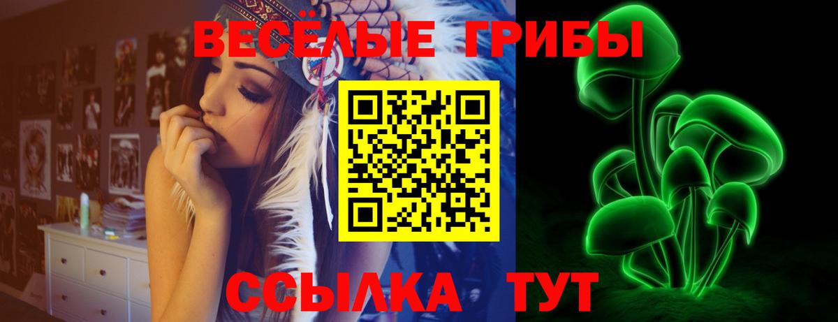 Псилоцибиновые грибы GOLDEN TEACHER Вязники